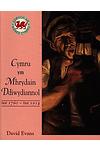 Cyfres Edrych ar Hanes Cymru: Cymru Ym Mhrydain Ddiwydiannol - Tua 176 0-Tua 1914